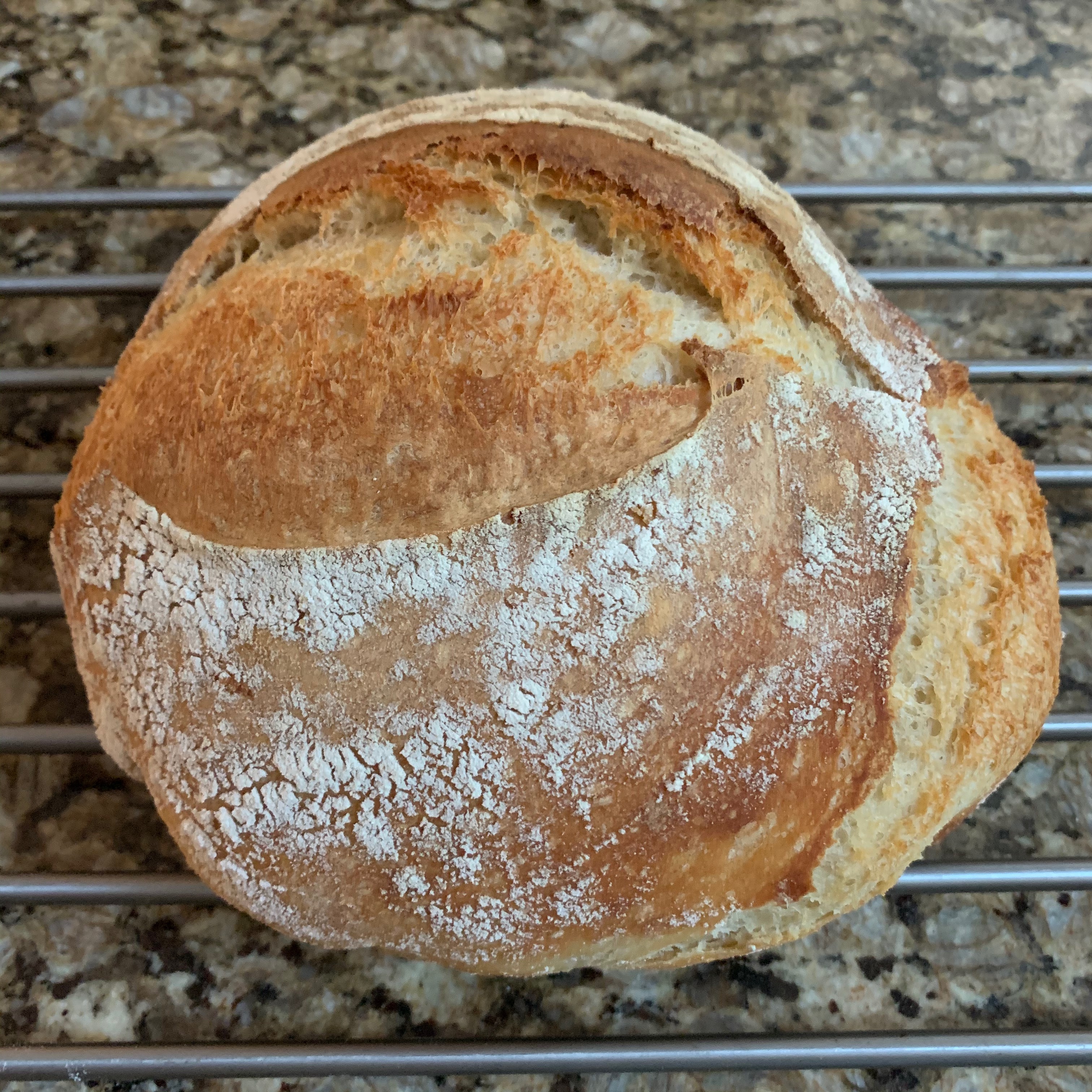 Yes, I bake sourdough bread. Yes, I made this. 